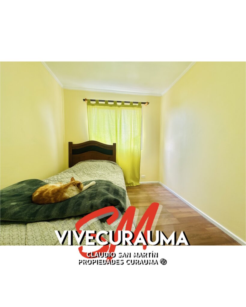  Imagen 12